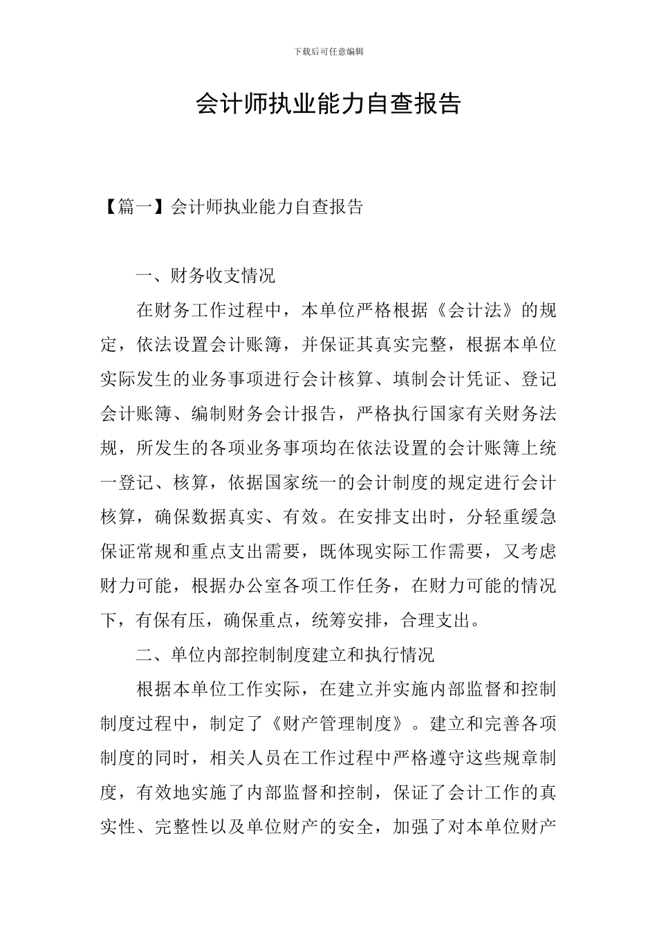 会计师执业能力自查报告_第1页