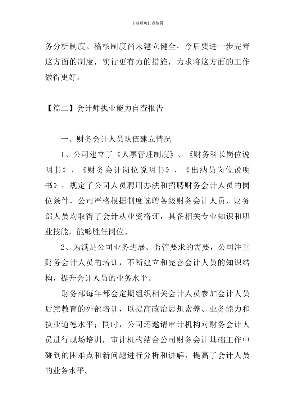 会计师执业能力自查报告_第3页