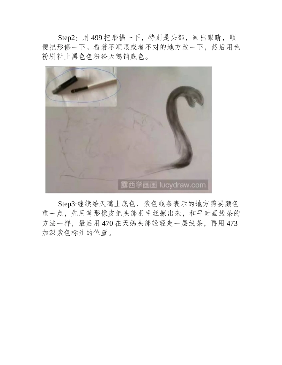 黑天鹅怎么画_彩铅黑天鹅的步骤有哪些_彩铅画教程_第2页