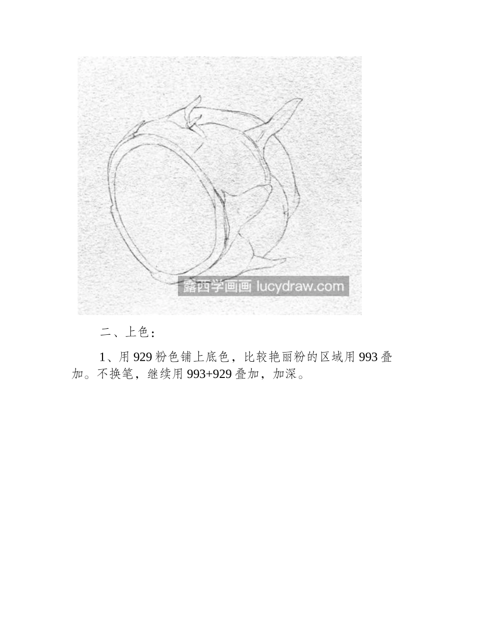 火龙果怎么画_红龙果的彩铅画法是什么_彩铅画教程_第2页