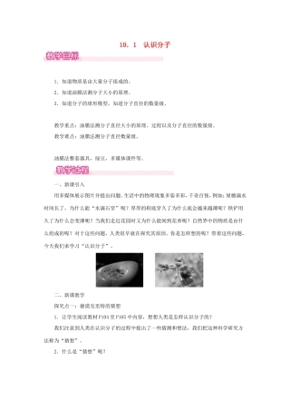 春八年级物理下册 10.1 认识分子教案 （新版）粤教沪版-（新版）粤教沪版初中八年级下册物理教案
