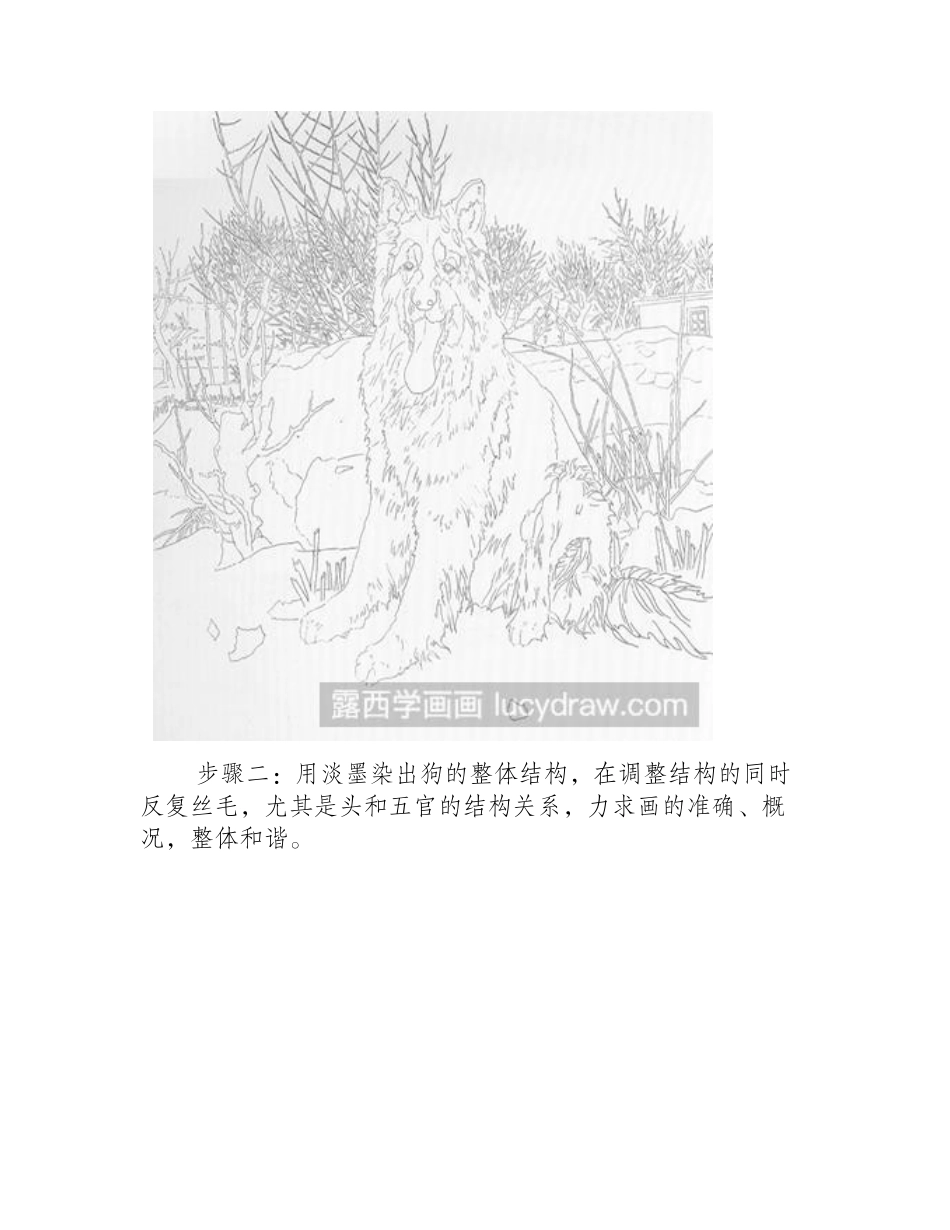 画工笔狗《老屯卫士》工笔画教程_第2页