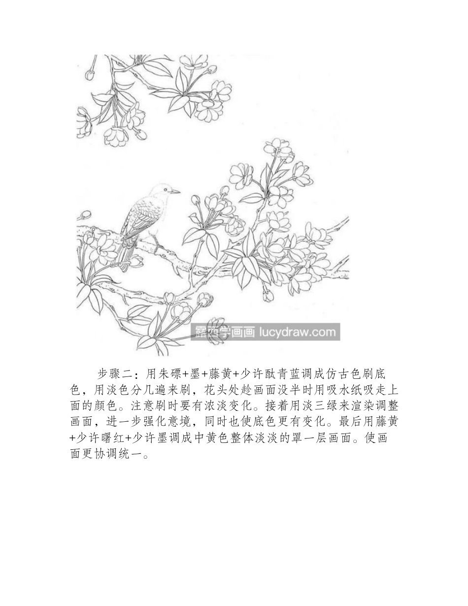 海棠枝上小鸟怎么画_有哪些绘画步骤_工笔画教程_第2页