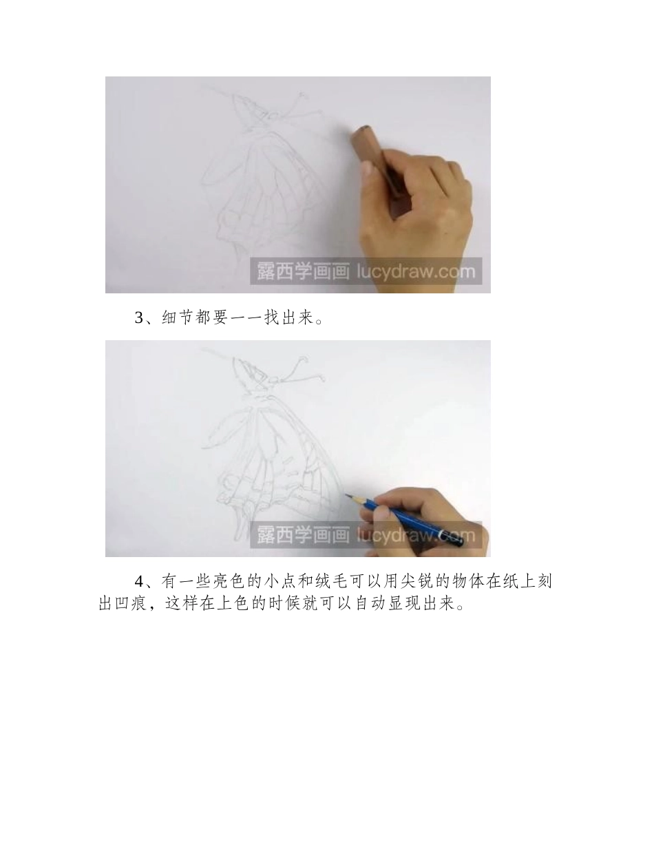 教你画燕尾凤蝶彩铅画教程_第2页