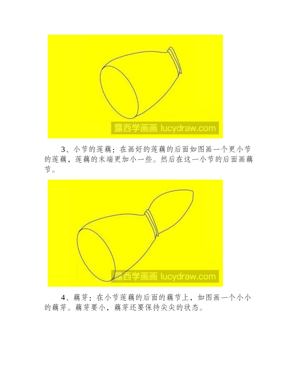 简笔画教程：教你画莲藕简笔画教程_第2页