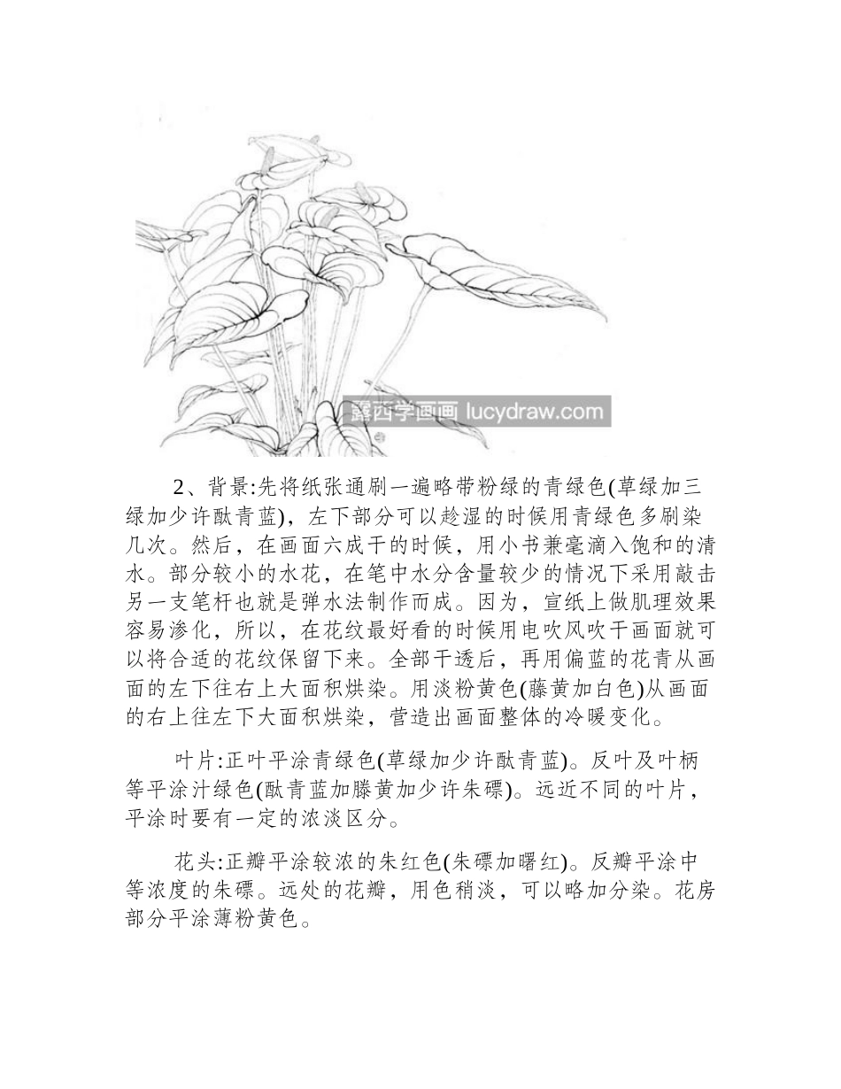 红掌怎么画_花烛的工笔画法是什么_工笔画教程_第2页
