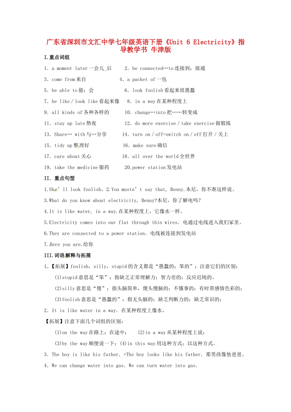 广东省深圳市文汇中学七年级英语下册《Unit 6 Electricity》指导教学书 牛津版_第1页