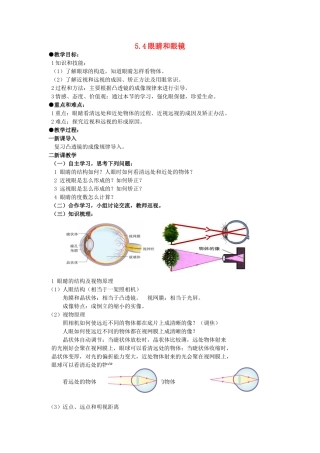 广东省广州市花都区赤坭中学八年级物理上册 5.4 眼睛和眼镜教案 （新版）新人教版