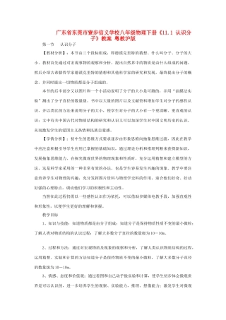 广东省东莞市寮步信义学校八年级物理下册《11.1 认识分子》教案 粤教沪版