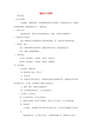 山东省青岛市城阳区第七中学九年级物理全册 磁是什么教案 新人教版