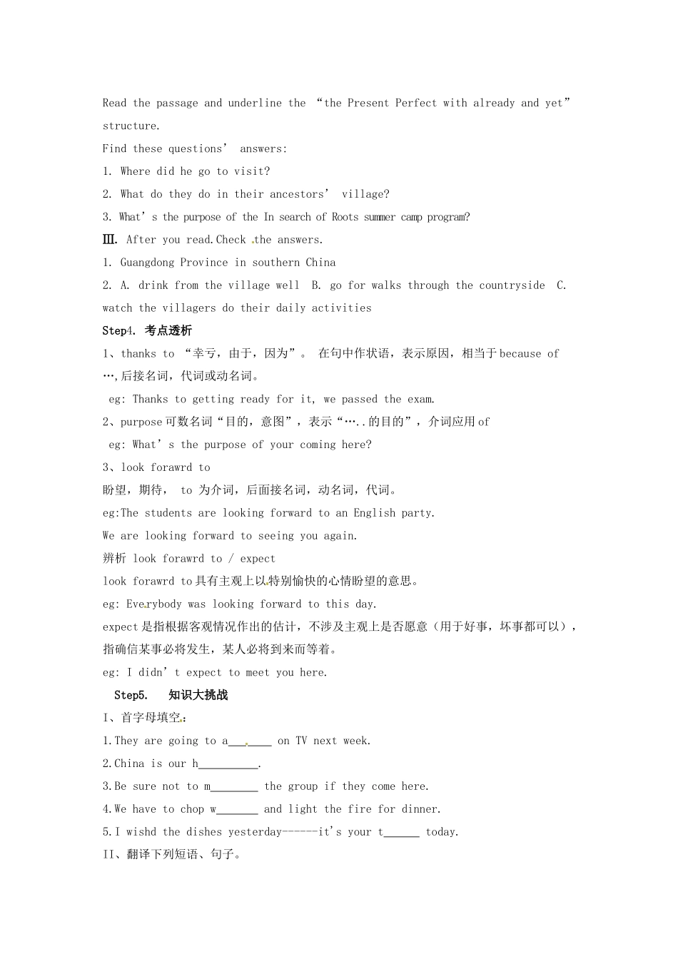 山东省肥城市湖屯镇九年级英语《Unit14  Have you packed yet》教案4 人教新目标版_第3页