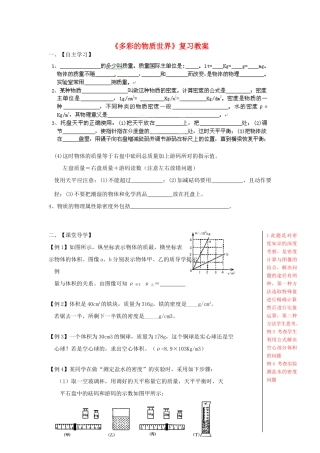 山东省肥城市湖屯镇九年级物理 第11章《多彩的物质世界》复习教案 人教新课标版