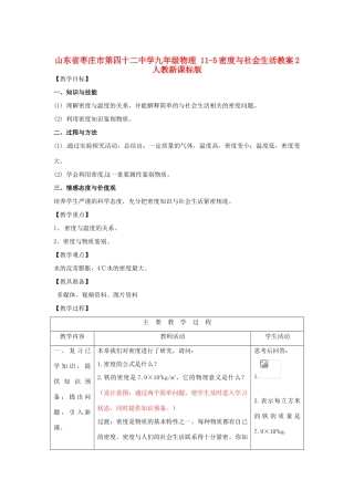 山东省枣庄市第四十二中学九年级物理 11-5密度与社会生活教案2 人教新课标版