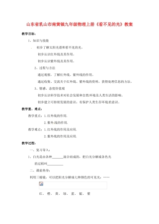 山东省乳山市南黄镇九年级物理上册《看不见的光》教案