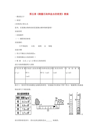 山东省临沂市凤凰岭中学九年级物理全册 第五章《测量石块和盐水的密度》教案 新人教版