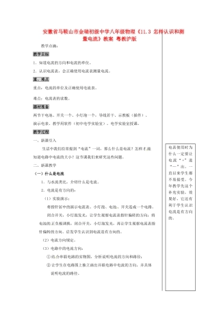 安徽省马鞍山市金瑞初级中学八年级物理《11.3 怎样认识和测量电流》教案 粤教沪版