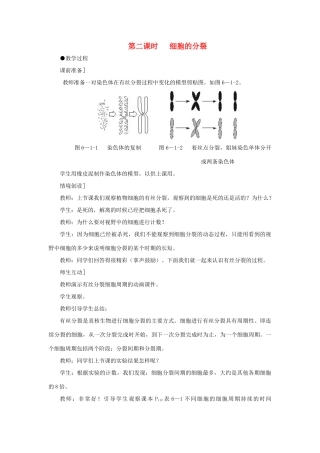 高中生物 细胞的增殖（第2课时）教案 新人教版-新人教版高一全册生物教案