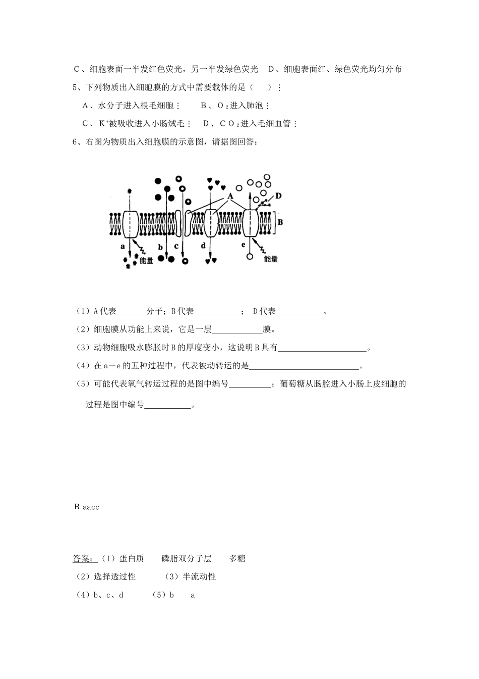 高中生物 第四章 细胞的物质输入和输出 4.3 物质跨膜运输的方式教案 新人教版必修1-新人教版高一必修1生物教案_第3页