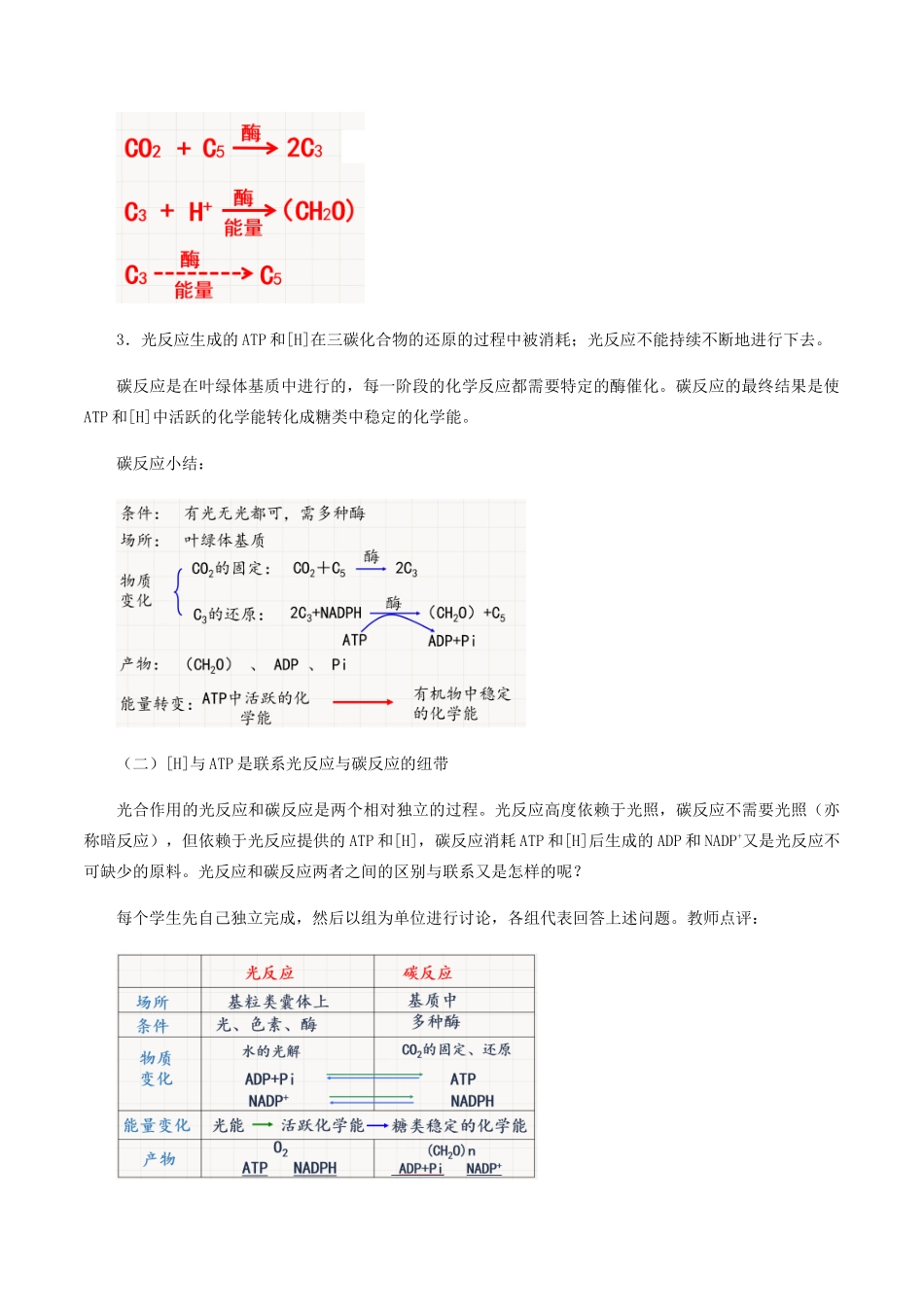 高中生物 第四章 细胞的代谢 第四节 碳反应教案 北师大版必修1-北师大版高一必修1生物教案_第2页