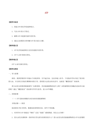 高中生物 第四章 细胞的代谢 第二节 ATP教案 北师大版必修1-北师大版高一必修1生物教案