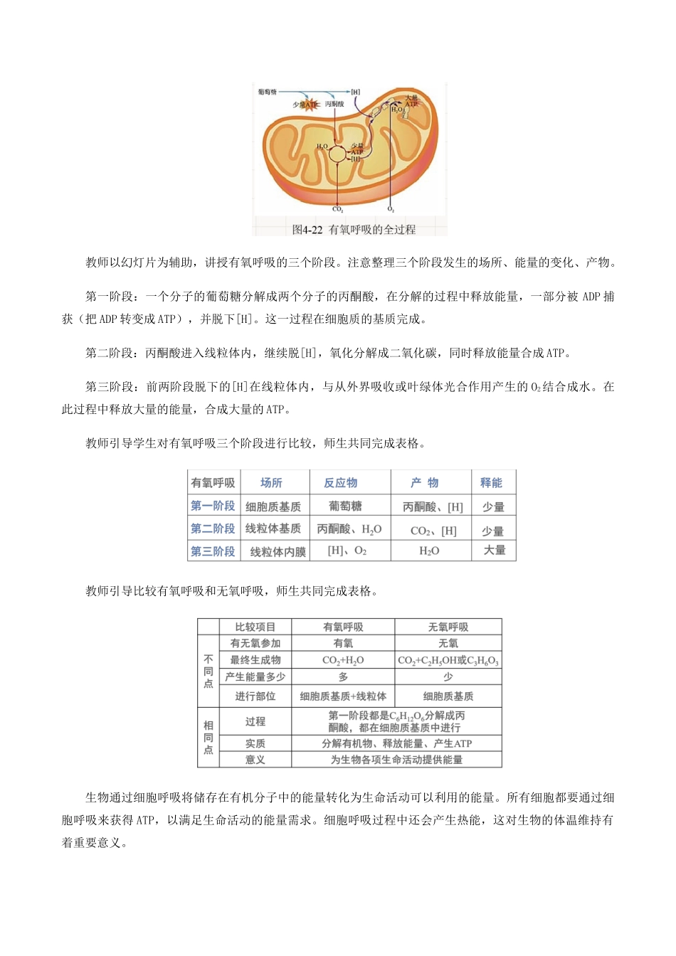 高中生物 第四章 细胞的代谢 第三节 细胞呼吸的过程教案 北师大版必修1-北师大版高一必修1生物教案_第3页