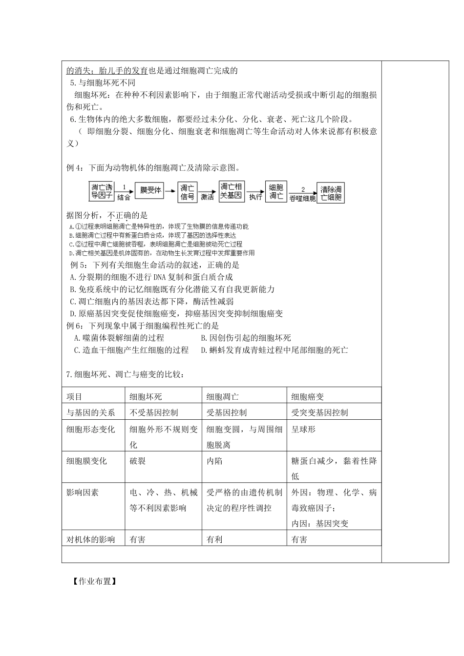 高中生物 第六章 细胞的生命历程 6.2 细胞的分化 6.3 衰老和凋亡 6.4 癌变（第2课时）教案 新人教版必修1-新人教版高一必修1生物教案_第2页