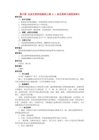 高中生物 第六章 从杂交育种到基因工程 6.1 杂交育种与诱变育种B教案 新人教版必修2-新人教版高一必修2生物教案