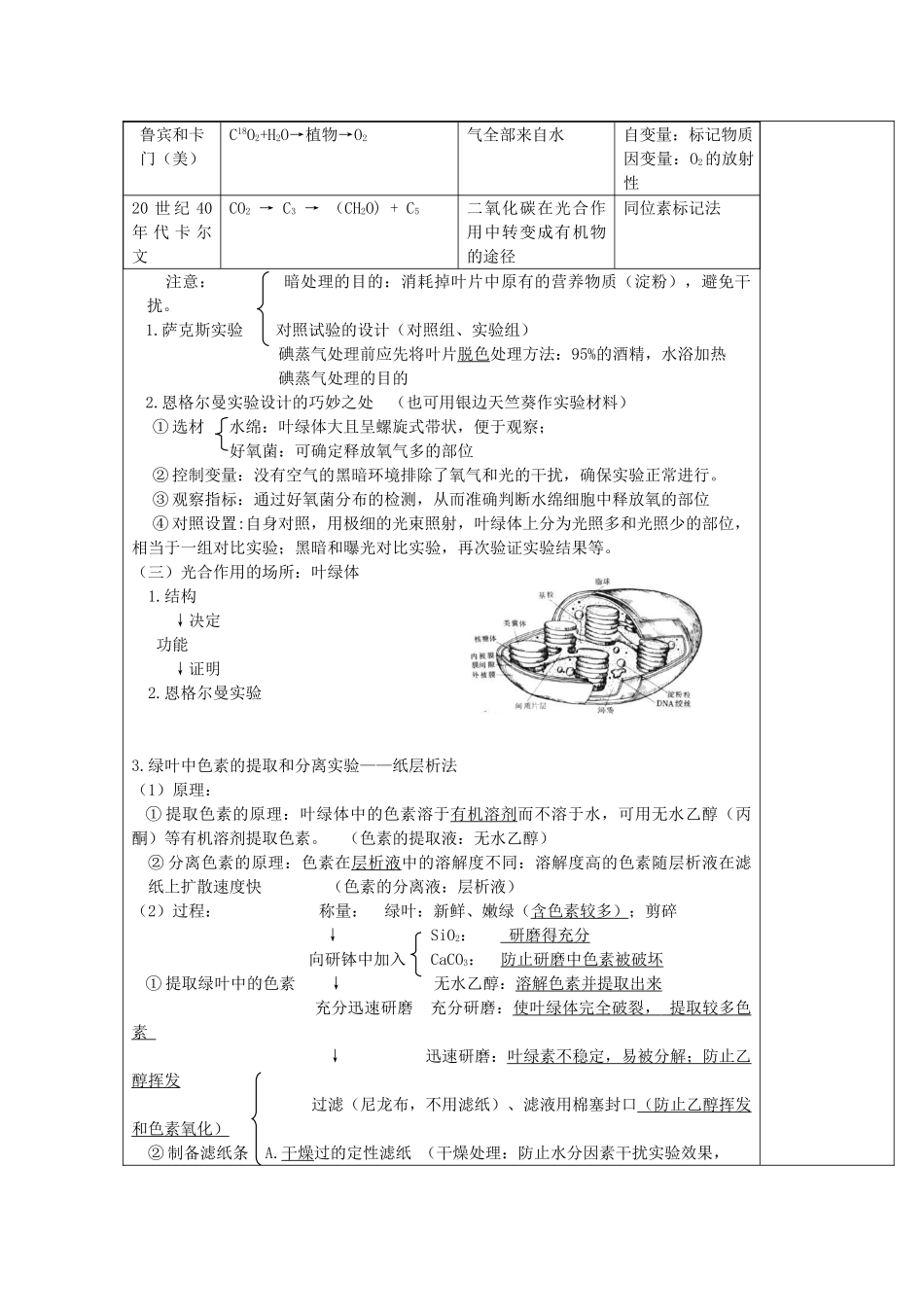 高中生物 第五章 细胞的能量供应和利用 5.4 能量之源——光和光合作用（第1课时）教案 新人教版必修1-新人教版高一必修1生物教案_第2页