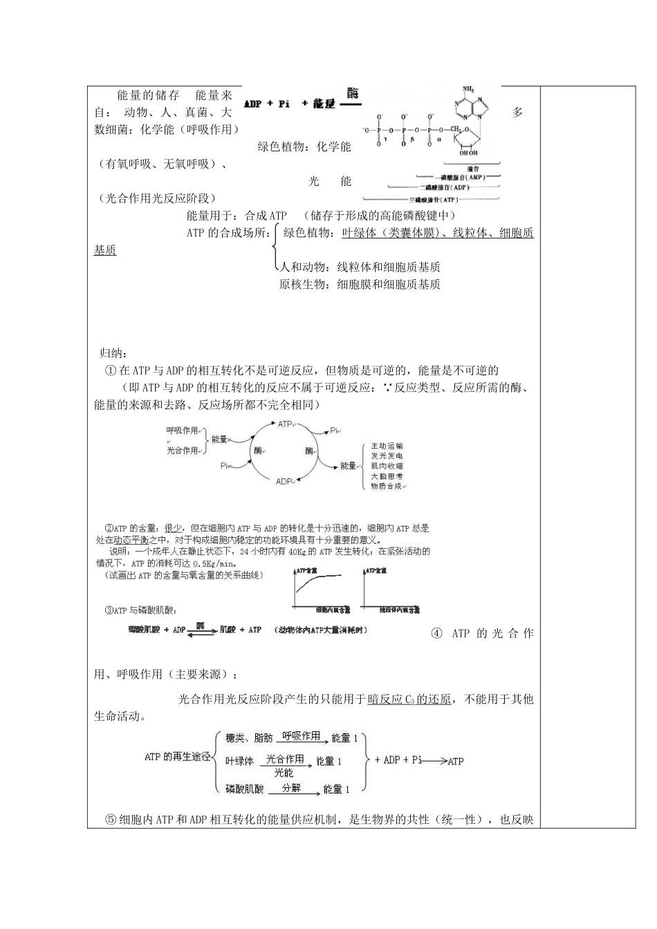 高中生物 第五章 细胞的能量供应和利用 5.2 细胞的能量通货教案 新人教版必修1-新人教版高一必修1生物教案_第2页
