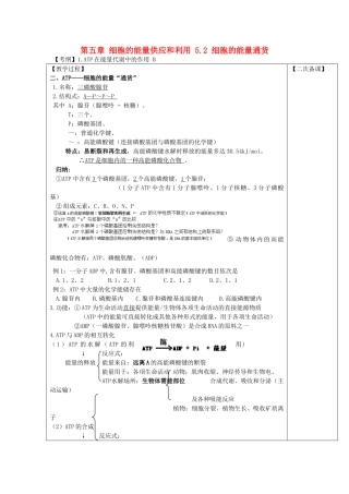 高中生物 第五章 细胞的能量供应和利用 5.2 细胞的能量通货教案 新人教版必修1-新人教版高一必修1生物教案