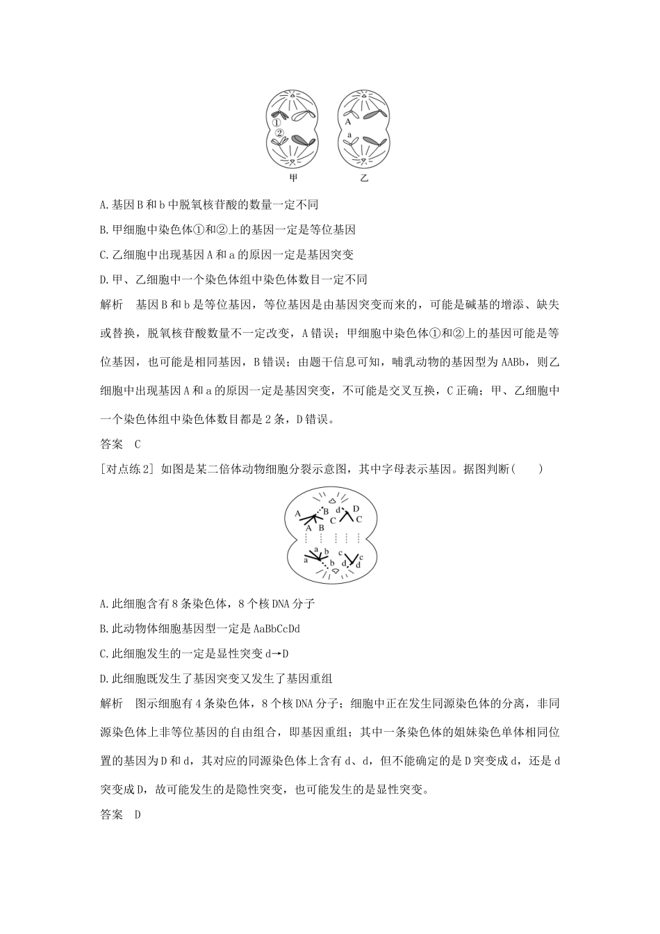 高中生物 第五章 基因突变及其他变异 微专题六 可遗传变异及其在育种实践中的应用教案 新人教版必修第二册-新人教版高一第二册生物教案_第3页