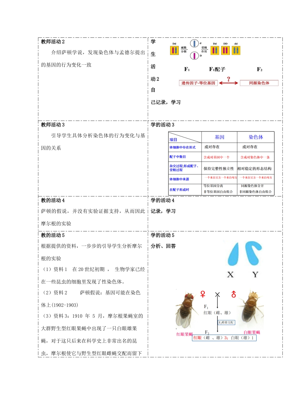 高中生物 第二章 染色体与遗传 第二节 基因伴随染色体传递教案（1）浙科版必修2-浙科版高一必修2生物教案_第2页