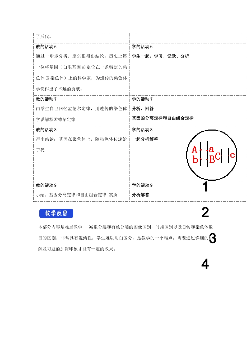 高中生物 第二章 染色体与遗传 第二节 基因伴随染色体传递教案（1）浙科版必修2-浙科版高一必修2生物教案_第3页