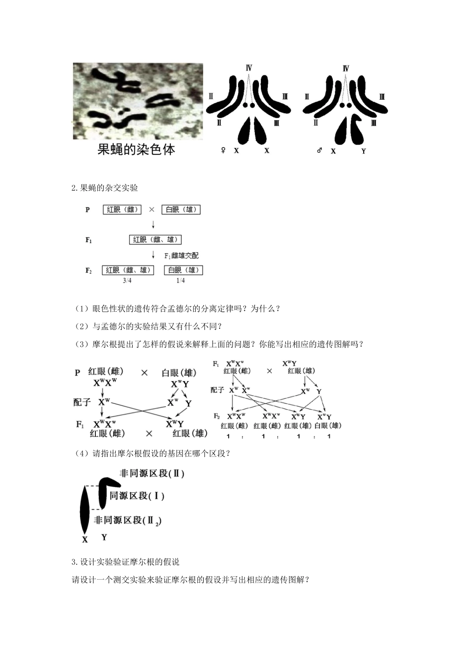 高中生物 第二章 染色体与遗传 第二节 基因伴随染色体传递教案（2）浙科版必修2-浙科版高一必修2生物教案_第3页