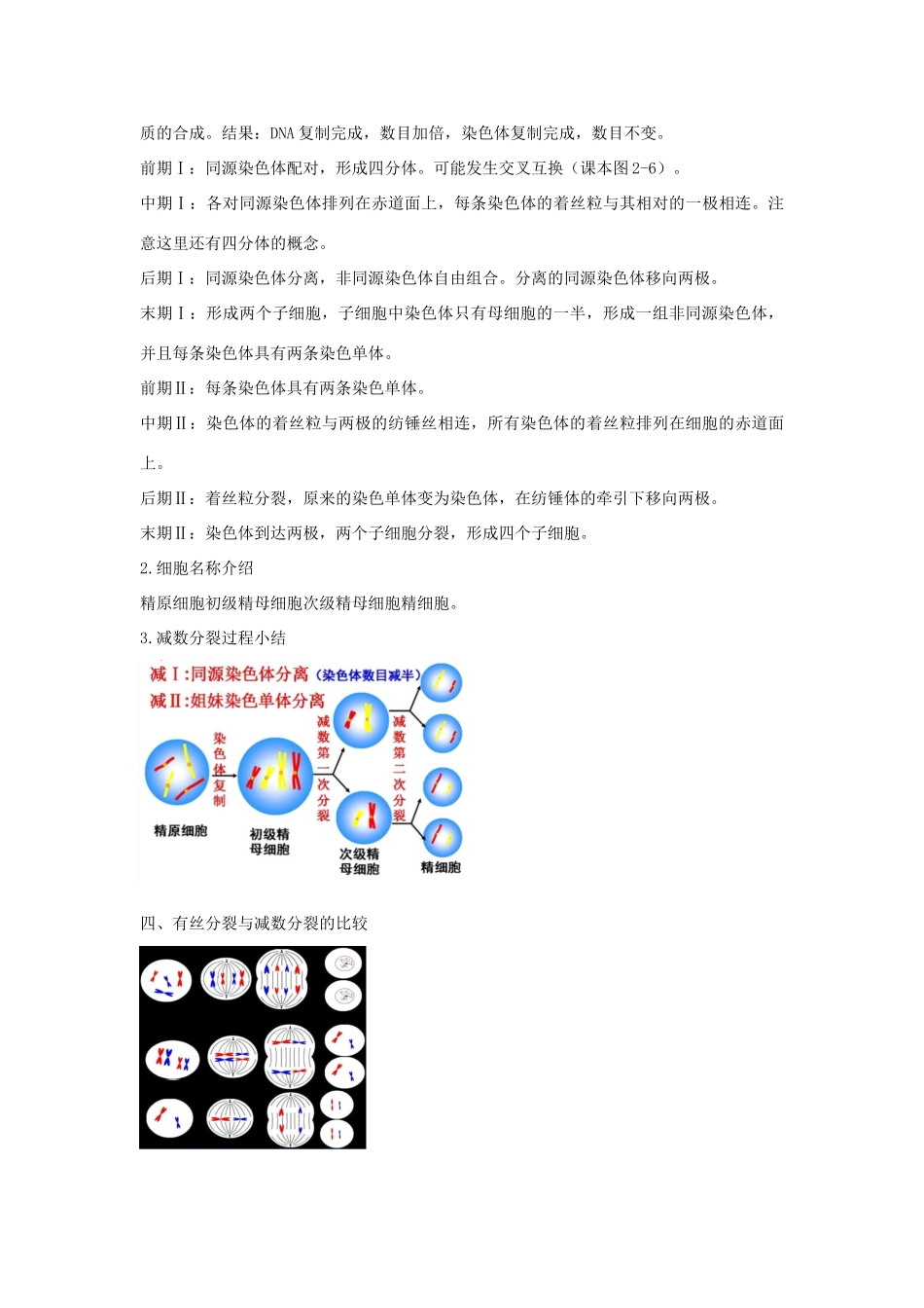 高中生物 第二章 染色体与遗传 第一节 染色体通过配子传递给子代教案（2）浙科版必修2-浙科版高一必修2生物教案_第3页