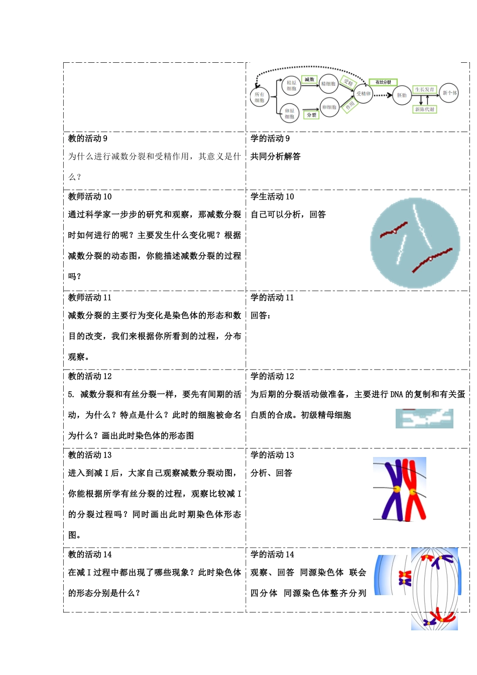 高中生物 第二章 染色体与遗传 第一节 染色体通过配子传递给子代教案（1）浙科版必修2-浙科版高一必修2生物教案_第3页
