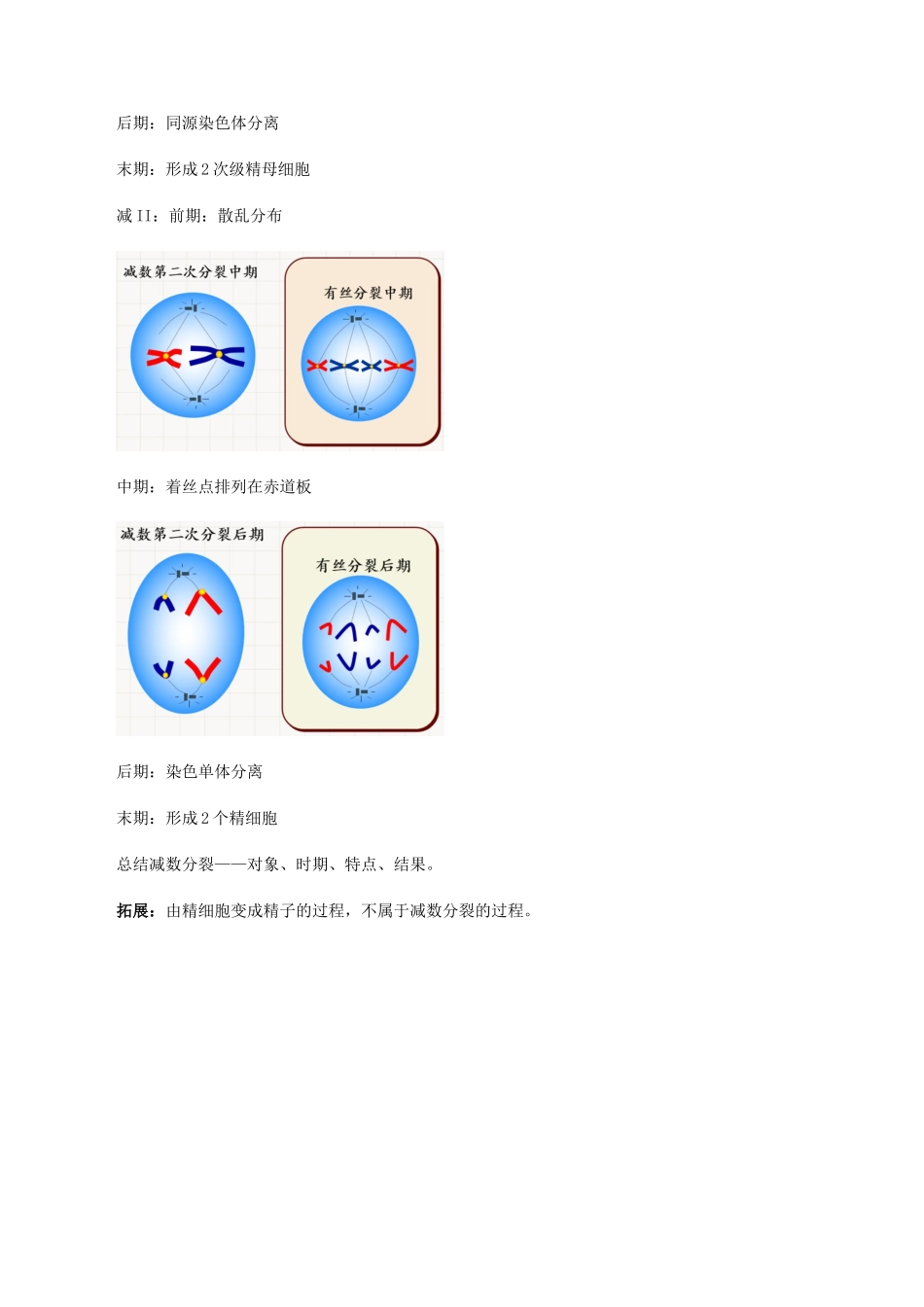 高中生物 第三章 遗传信息在亲子代之间传递 第二节 减数分裂与配子形成教案 北师大版必修2-北师大版高一必修2生物教案_第3页