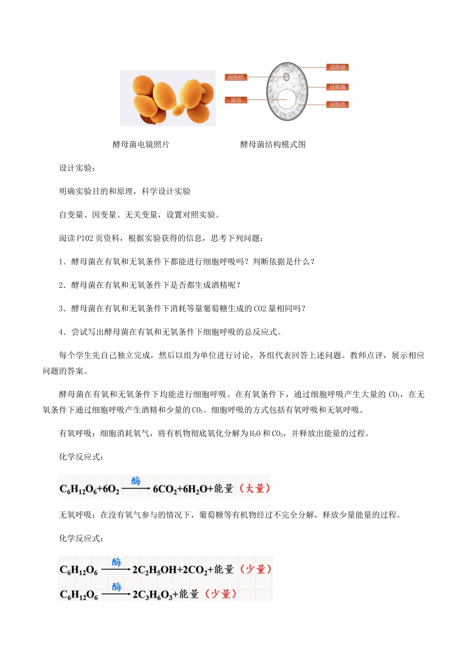 高中生物 第三章 细胞的物质基础 第三节 细胞呼吸的类型教案 北师大版必修1-北师大版高一必修1生物教案_第2页