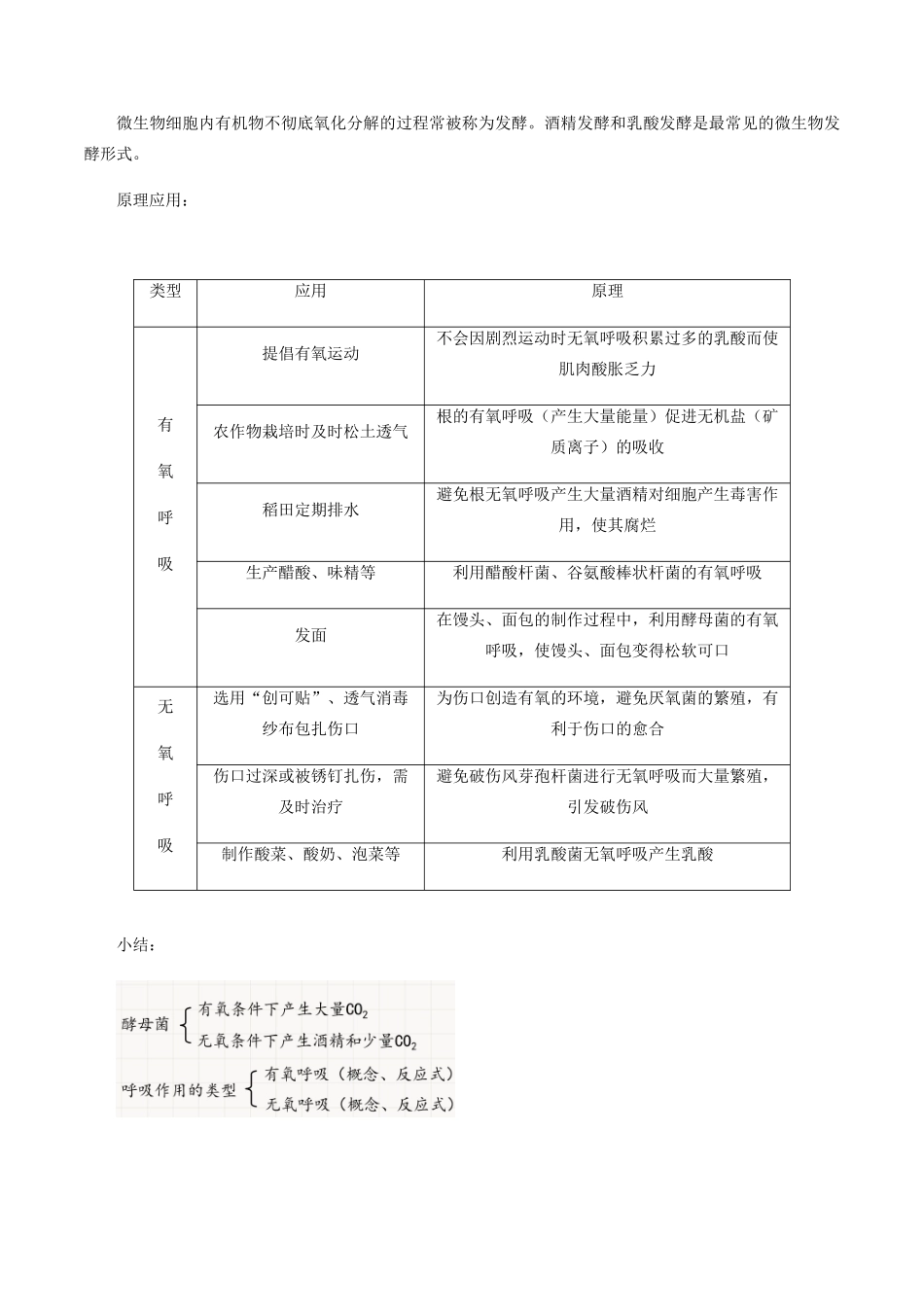 高中生物 第三章 细胞的物质基础 第三节 细胞呼吸的类型教案 北师大版必修1-北师大版高一必修1生物教案_第3页