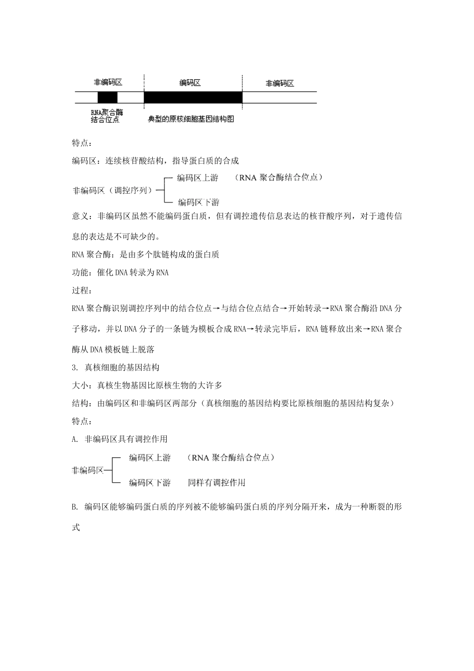 高中生物 第三单元 遗传与变异的分子基础 第二章 基因对性状的控制 第一节 认识基因教案 中图版必修2-中图版高一必修2生物教案_第3页