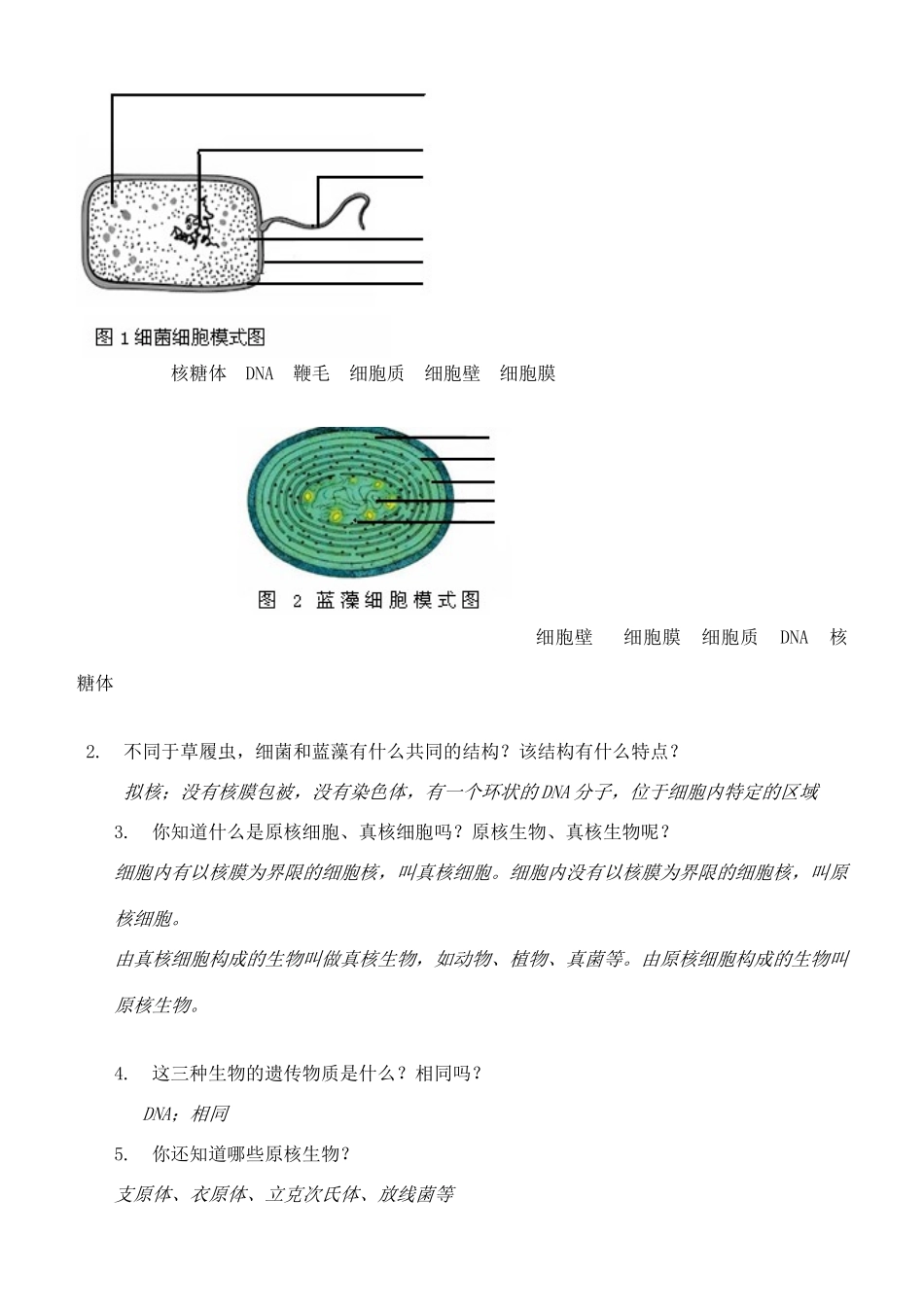 高中生物 第一章 走近细胞 1.2 细胞的多样性和统一性教案 人教版必修1-旧人教版高一必修1生物教案_第2页