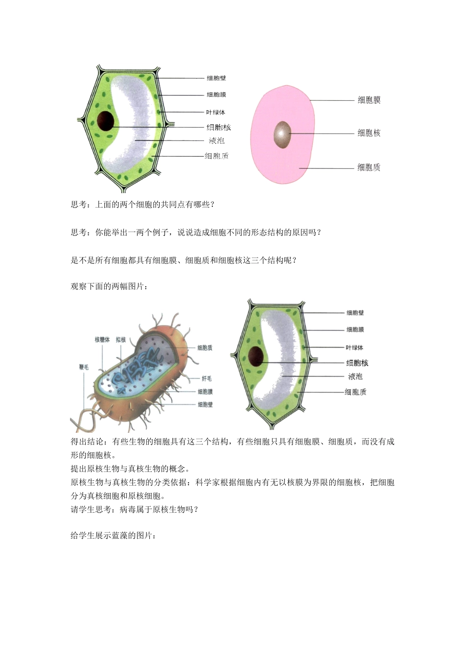 高中生物 第一章 认识细胞 第二节 细胞的多样性和统一性教案 北师大版必修1-北师大版高一必修1生物教案_第3页