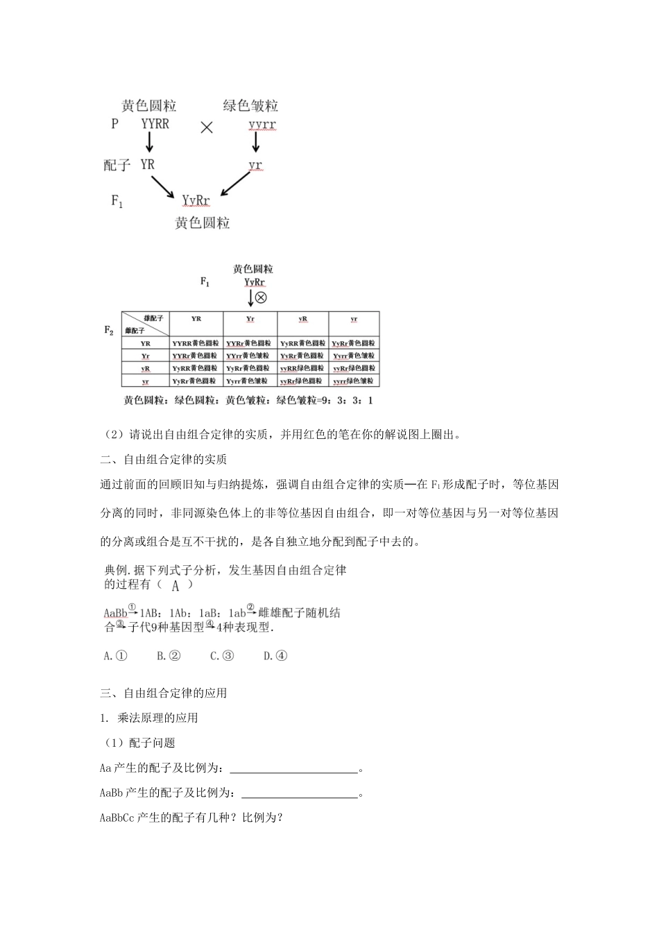 高中生物 第一章 孟德尔定律 第二节 孟德尔从两对相对性状的杂交实验中总结出自由组合定律教案（4）浙科版必修2-浙科版高一必修2生物教案_第2页