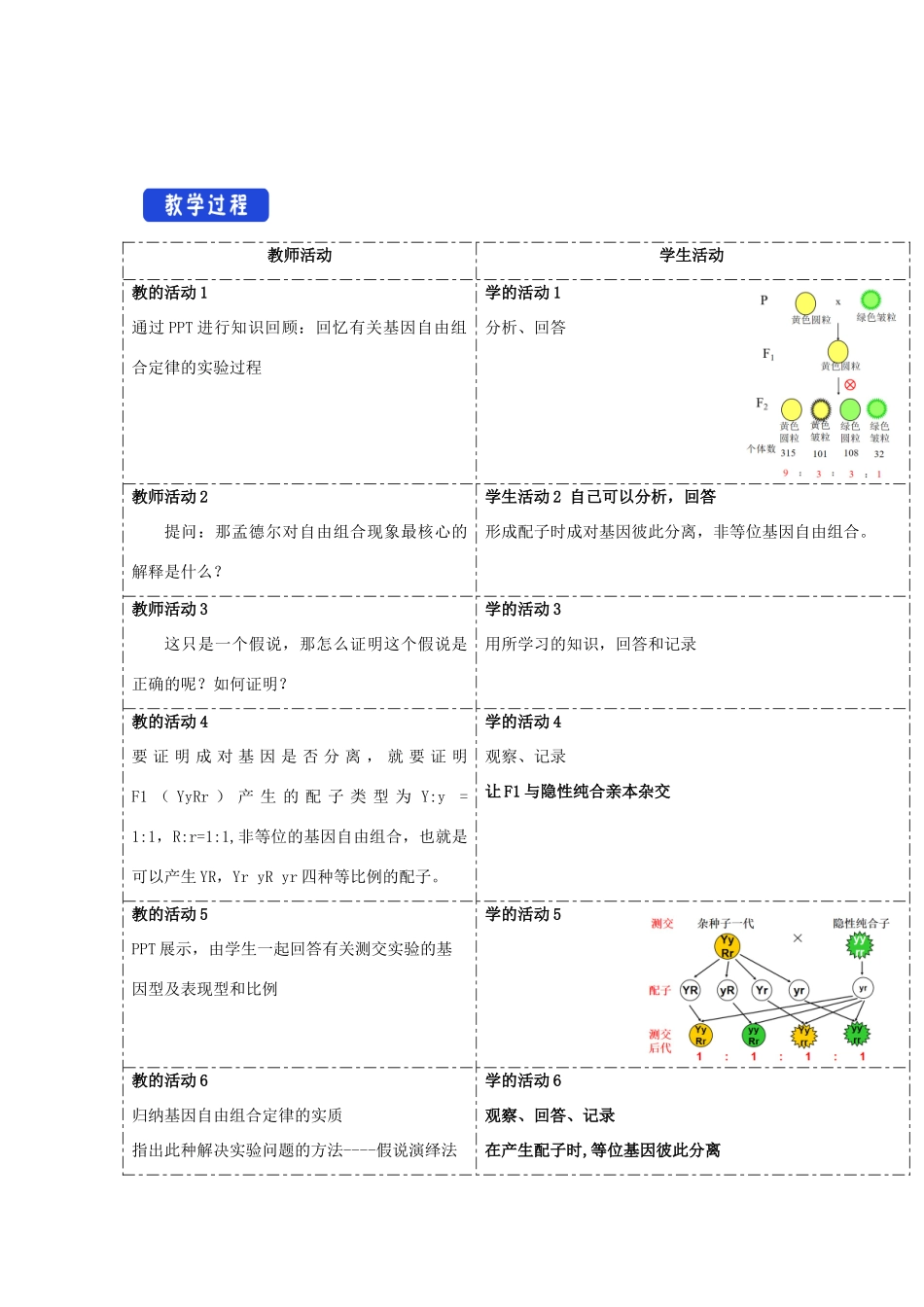 高中生物 第一章 孟德尔定律 第二节 孟德尔从两对相对性状的杂交实验中总结出自由组合定律教案（3）浙科版必修2-浙科版高一必修2生物教案_第2页