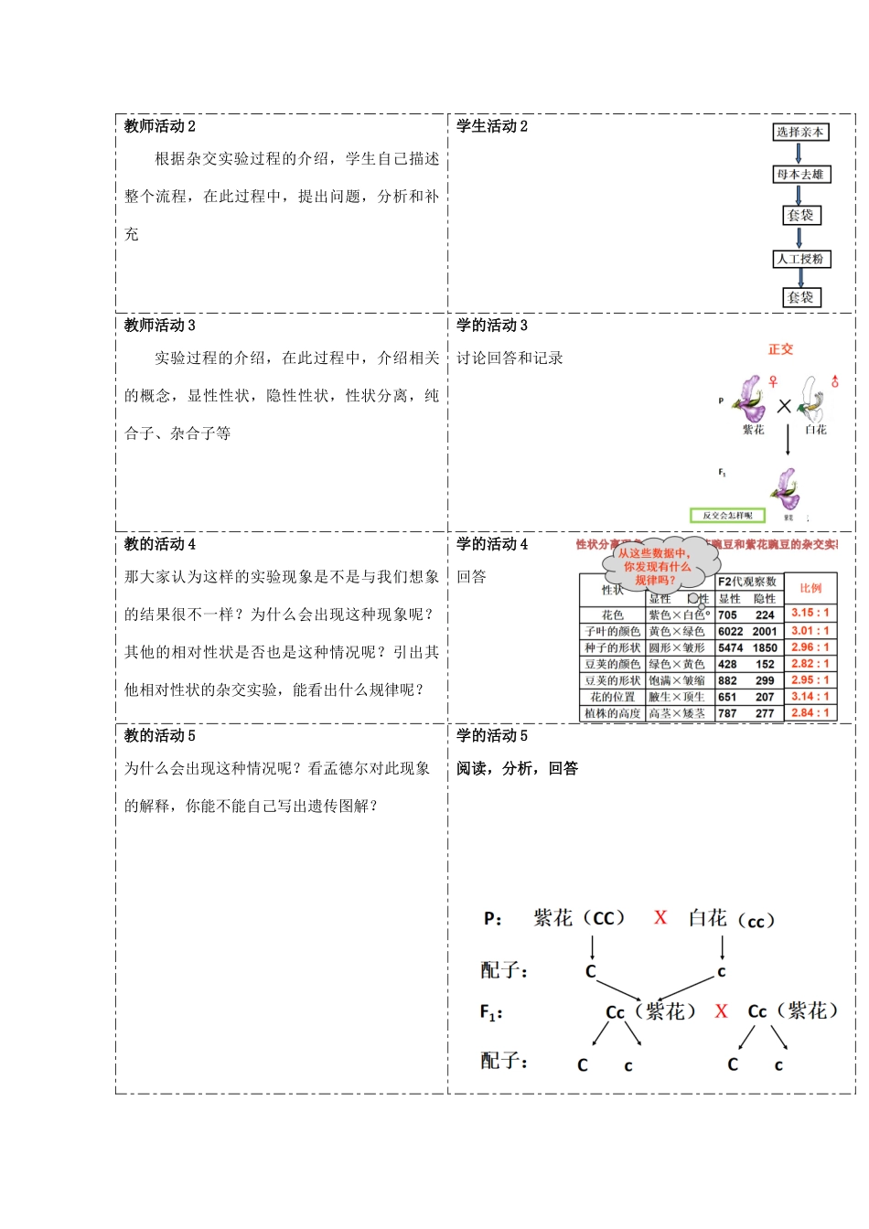 高中生物 第一章 孟德尔定律 第一节 孟德尔从一对相对性状的杂交实验中总结出分离定律教案（3）浙科版必修2-浙科版高一必修2生物教案_第2页