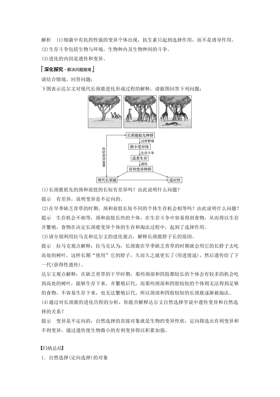 高中生物 第6章 生物的进化 第2节 自然选择与适应的形成教案 新人教版必修第二册-新人教版高一第二册生物教案_第3页