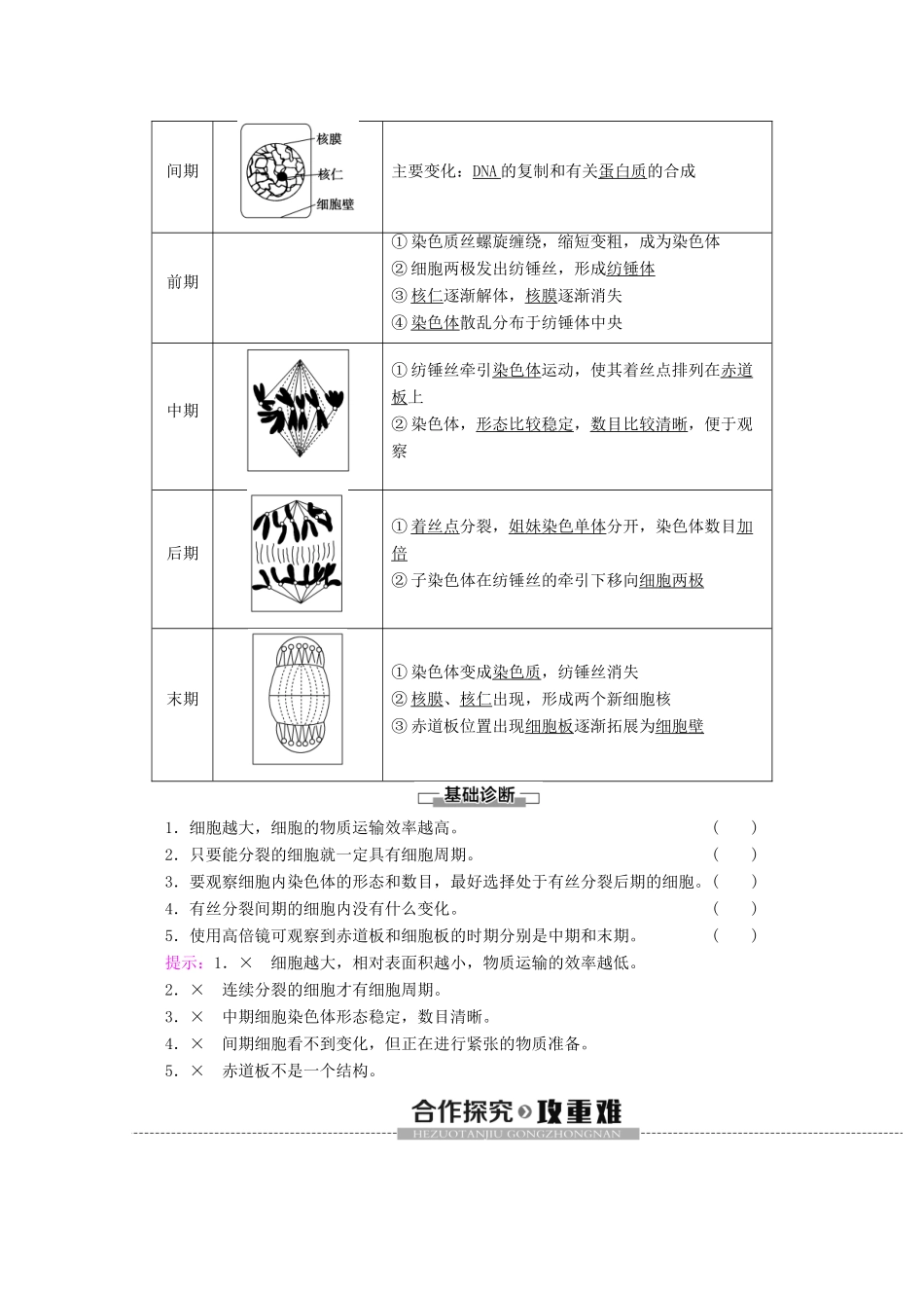 高中生物 第6章 第1节 第1课时 细胞周期和高等植物细胞的有丝分裂教案 新人教版必修1-新人教版高一必修1生物教案_第2页