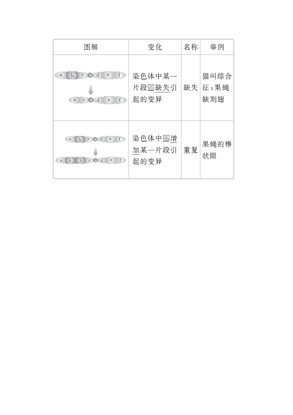 高中生物 第5章 基因突变及其他变异 第2节 染色体变异教案 新人教版必修2-新人教版高一必修2生物教案_第2页