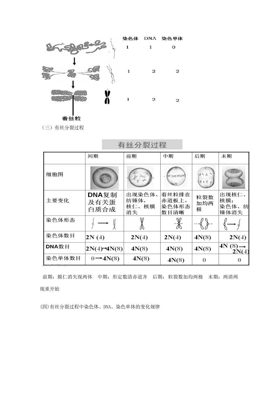 高中生物 第4章 细胞的增殖与分化（1）教案 浙科版必修1-浙科版高一必修1生物教案_第2页