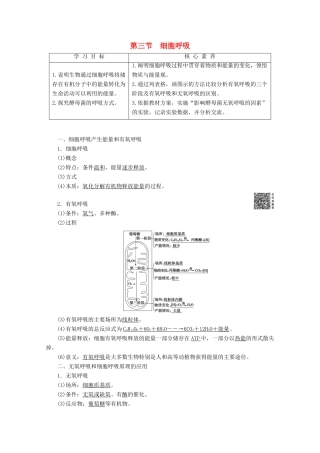 高中生物 第4章 第3节 细胞呼吸教案 苏教版必修1-苏教版高一必修1生物教案